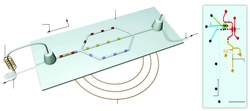 Magnetic Resonance and Microfluidics